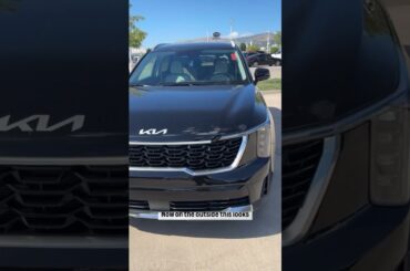 Electric Cars Are NOT The Future! Sorento PHEV