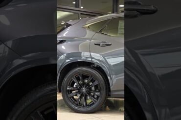 2025 NX Hybrid Plug-in