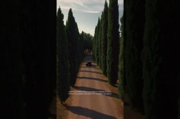 You need a Golf R  #volkswagen