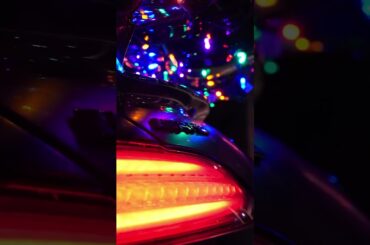 Decked Out and Ready to Sleigh 🎄 #Shorts