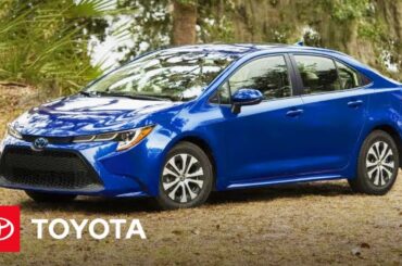 2022 Toyota Corolla Hybrid Highlights | Toyota