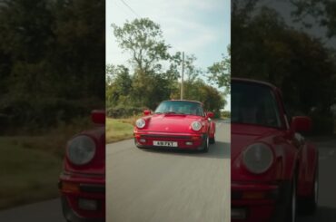 Looking ripe 🍅 #shorts