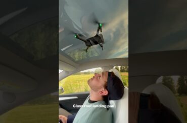 Model Y glass roof ftw