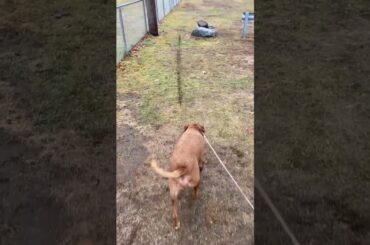 Talaria MX3 Electric Bike at Mcdonalds? #ebike