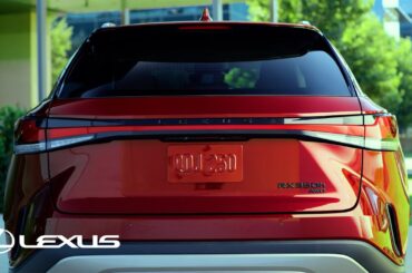 Lexus Accessory Black Badges | Lexus