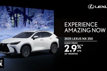 EXPERIENCE AMAZING NOW