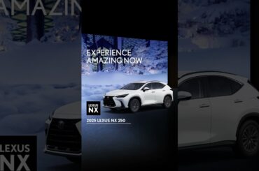 EXPERIENCE AMAZING NOW