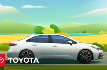 ToyotaCare Plus Service Drive | Let's Go