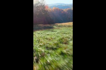 Bronco® Off-Roadeo Tennessee