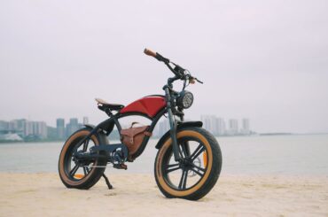 Hidoes B10 | Unleashing the Power of the 2024 New Retro Cowboy Electric Bike