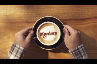 25 Year Model Monkey Launch Film