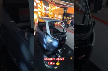 Montra electric auto (customised)