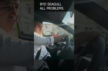 2025  BYD SEAGULL ! MOST AFFORDABLE ELECTRIC CAR, that does not sucks