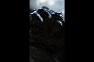 E-Lion Day 2025 |  Electric