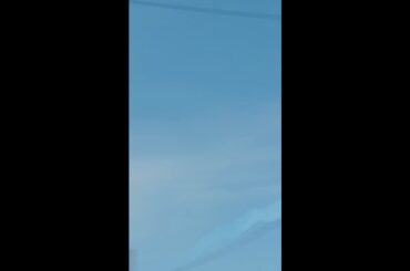 E-Lion Day 2025 |  Efficiency