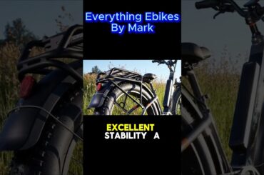 Rad Rover 6 Best of Class 2