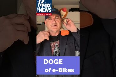 DOGE of DIY Electric Motorcycles; e-Power to the People!