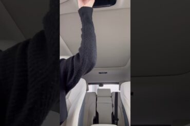 Lexus RX 450h+ plug-in hybrid with Macadamia Interior featuring bamboo accents #asmr #automobile