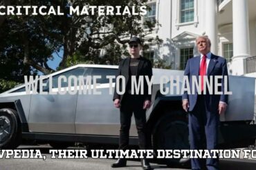 Elon Musk Finally Gets His White House EV Summit