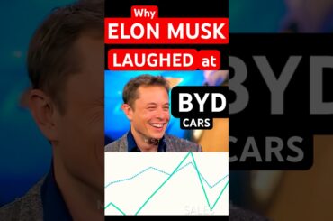 Tesla vs BYD in 2025. BYD Become Largest EV Maker #tesla #byd #automobile