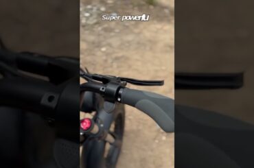 How about Low-seat Electric Fat tire bike? It fits short riders. #freego #kidsebike#bikeforshort