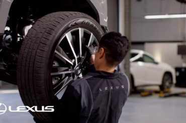 Service By Lexus 2025 Spring Service Event | Lexus