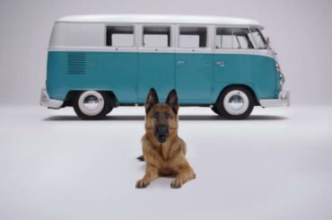 The VW KONG® For A Cause