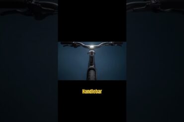 e-Biike Secret Revealed!! Orbea DIEM 30