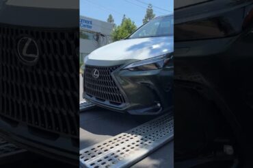 2025 Lexus NX Plug-in Hybrid! #shorts