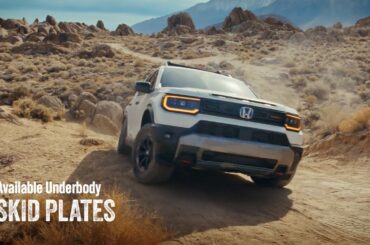 Honda Passport | Skid Plates