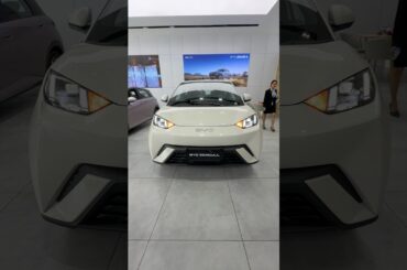 2025 BYD Seagull #byd #seagull #ev #electric #car #2024 #hatchback #shorts #subscribe #2025 #sports