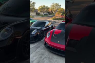 A driveway worth stopping for #shorts