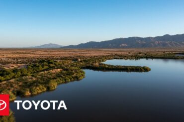 Toyota Teams Up with The Nature Conservancy on Water Conservation in the Colorado River Delta