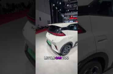 The cheap electric car Australia needs??