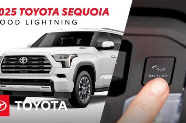 2025 Toyota Sequoia: How to Use Interior Ambient Lighting Features | Toyota Drive-Off Essentials