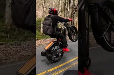 This E-Bike is a Wheelie Monster. #fiido #fiidotitan #ebike