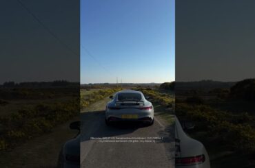 Hooves or horsepower? | #shorts