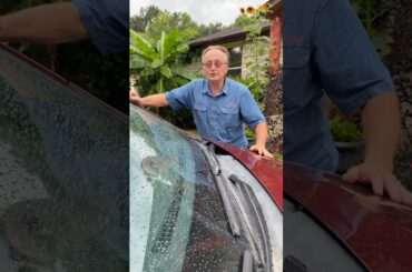 Why Not to Buy a Hybrid Car