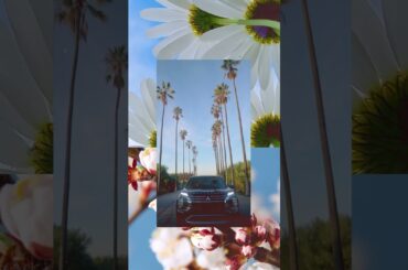 It’s true what they say: April showers really do bring May flowers. 🌸 #Spring