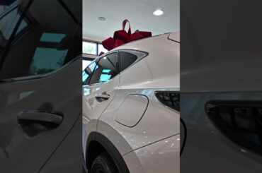 2025 Lexus NX Plug-In Hybrid Delivered | 84 MPGe & 37 EV Miles