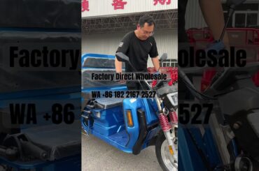 Factory direct wholesale for global market | etrike with EU certified