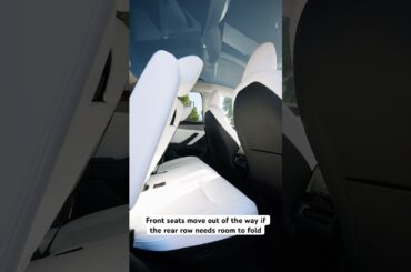 Seat dance on the new Model Y