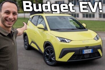 BYD Dolphin Surf Review (2025): An Affordable Electric Car!