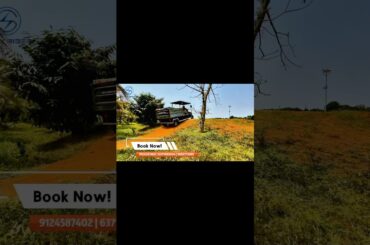 4-Wheeler Electric Loader Hill Test!Can It Handle the Climb? |Electric Golf cart Cargo #viralshorts