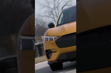 What makes a Mustang® a Mustang®?