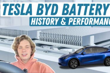 How Tesla’s Best Battery Was From BYD!