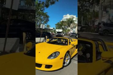 Bringing the sunshine #shorts