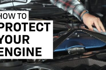 Step-By-Step Tutorial Cleaning and Protecting Your Engine Bay with Adam’s Polishes