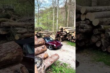 Forestry fit check #shorts