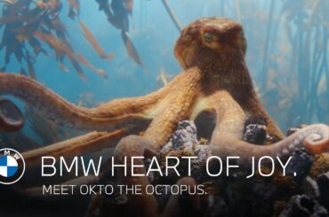 BMW Heart of Joy | Meet Okto the octopus.